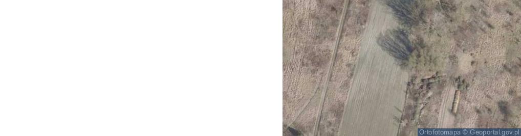 Zdjęcie satelitarne Brzegowa ul.