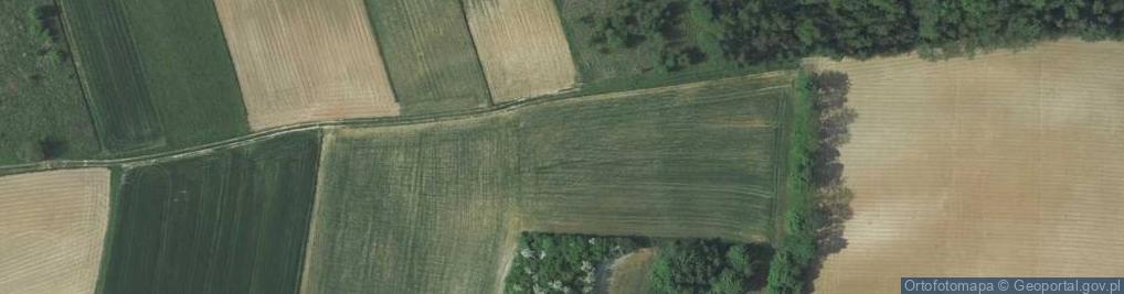 Zdjęcie satelitarne Brzozowa ul.