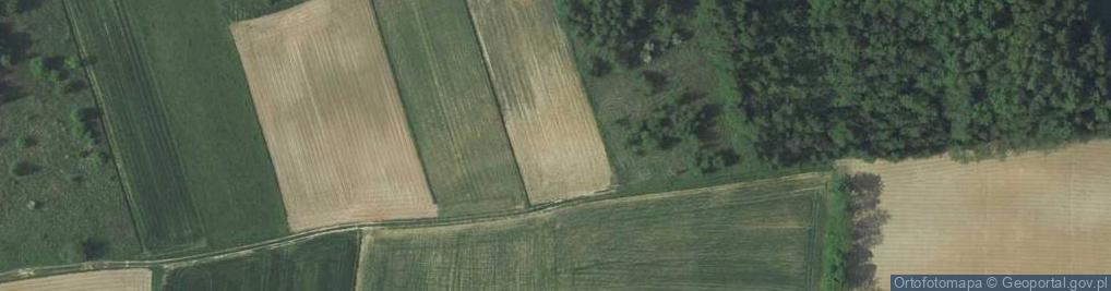 Zdjęcie satelitarne Brzozowa ul.