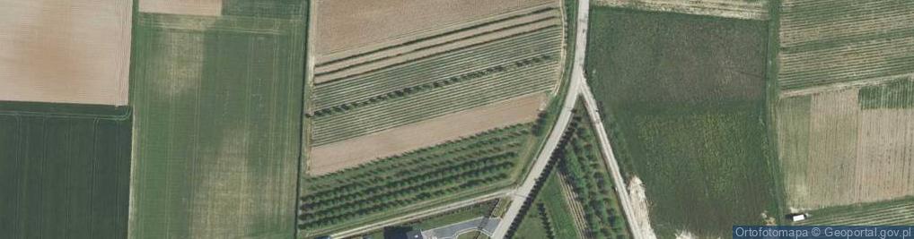 Zdjęcie satelitarne Brzeziny ul.
