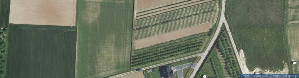 Zdjęcie satelitarne Brzeziny ul.