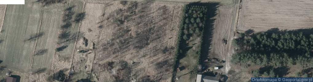 Zdjęcie satelitarne Brzozowa ul.