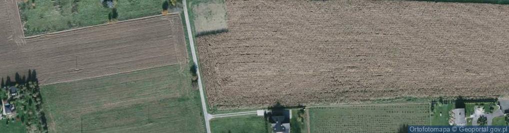 Zdjęcie satelitarne Brzimowa ul.