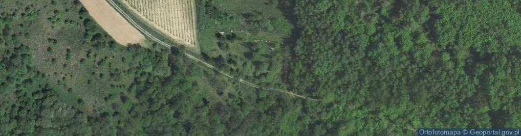 Zdjęcie satelitarne Bronówka ul.