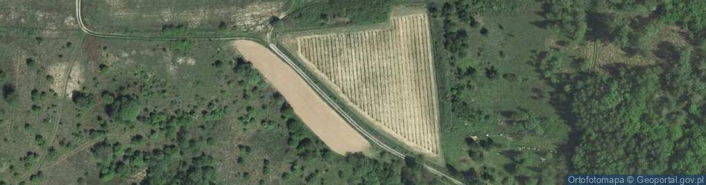 Zdjęcie satelitarne Bronówka ul.