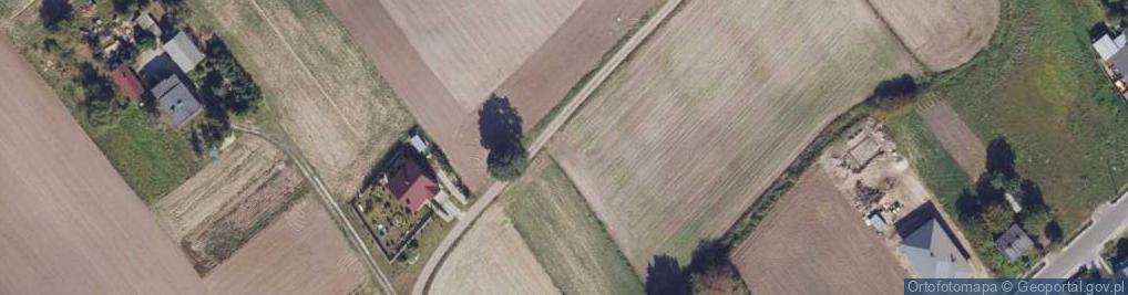 Zdjęcie satelitarne Brzozowa ul.