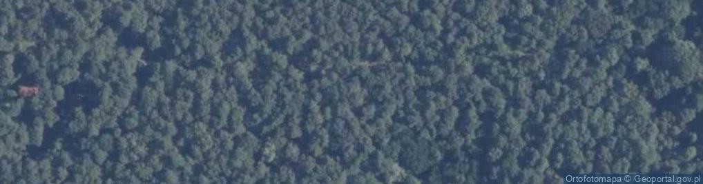 Zdjęcie satelitarne Brzozowa ul.