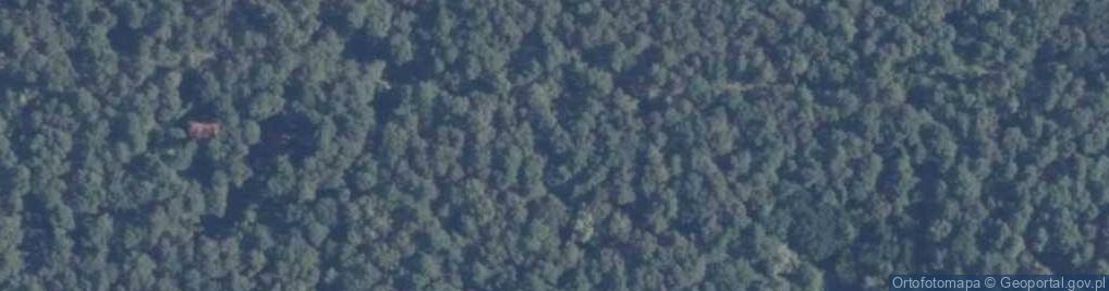 Zdjęcie satelitarne Brzozowa ul.