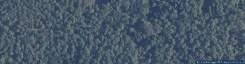 Zdjęcie satelitarne Brzozowa ul.