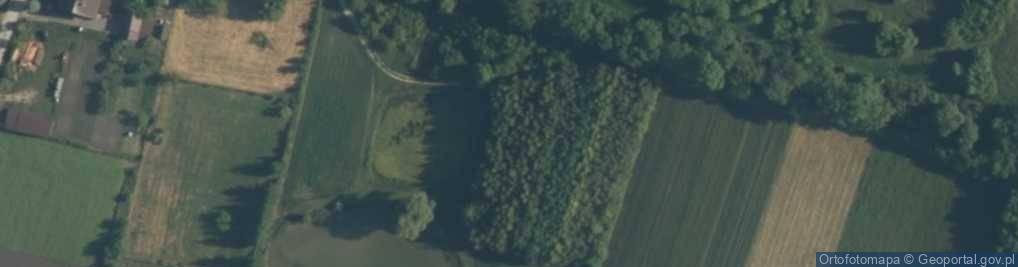 Zdjęcie satelitarne Browarna ul.