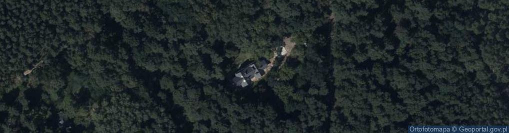 Zdjęcie satelitarne Brücknera Aleksandra ul.