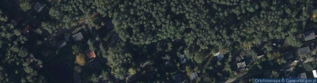 Zdjęcie satelitarne Brzezina ul.
