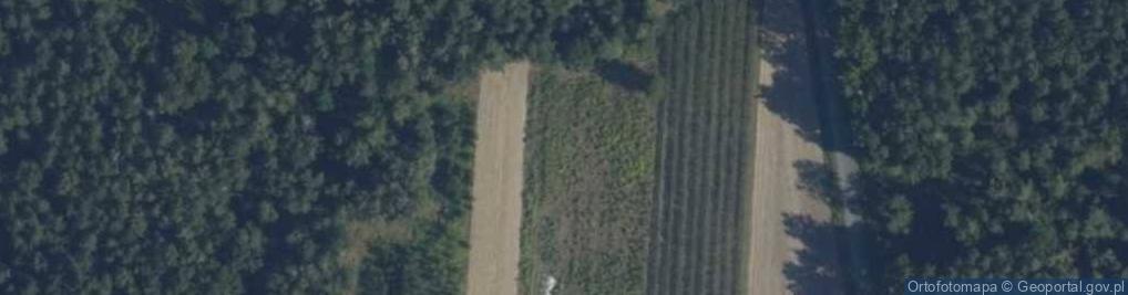 Zdjęcie satelitarne Brzozowa ul.