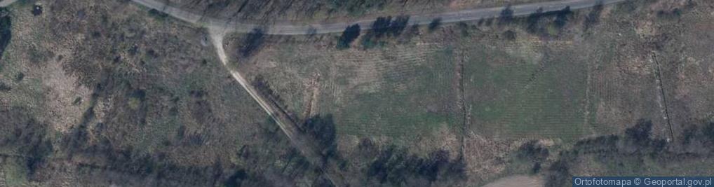 Zdjęcie satelitarne Bukowa ul.