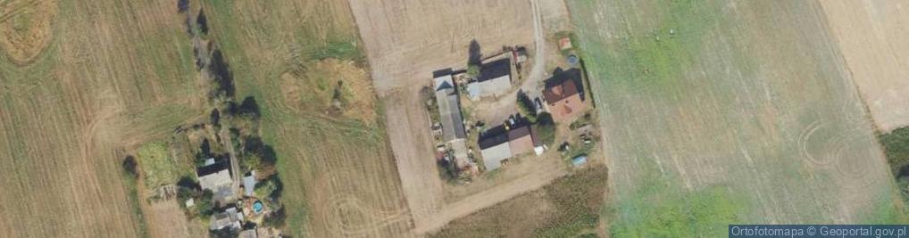 Zdjęcie satelitarne Buczek ul.