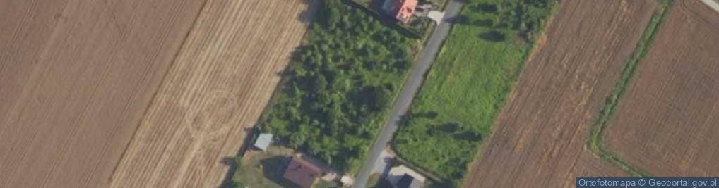 Zdjęcie satelitarne Budki Piaseckie ul.