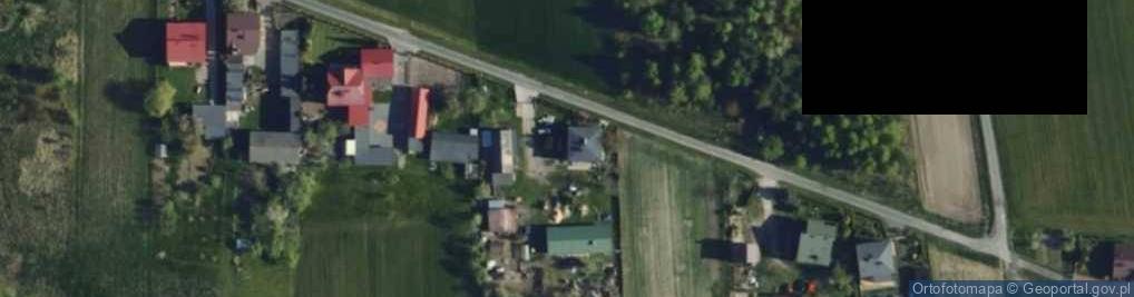 Zdjęcie satelitarne Budy Dłutowskie ul.