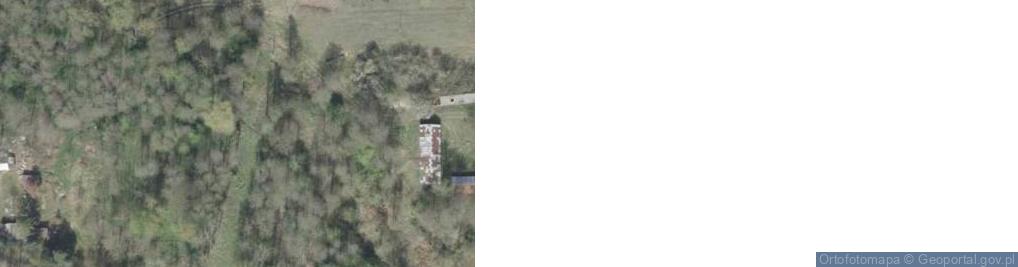 Zdjęcie satelitarne Budy Kupientyńskie ul.