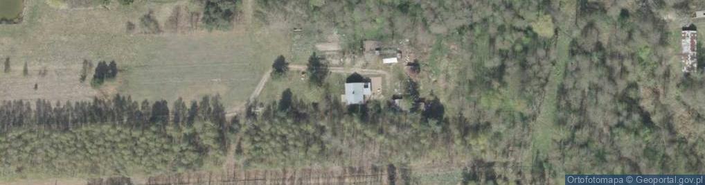 Zdjęcie satelitarne Budy Kupientyńskie ul.