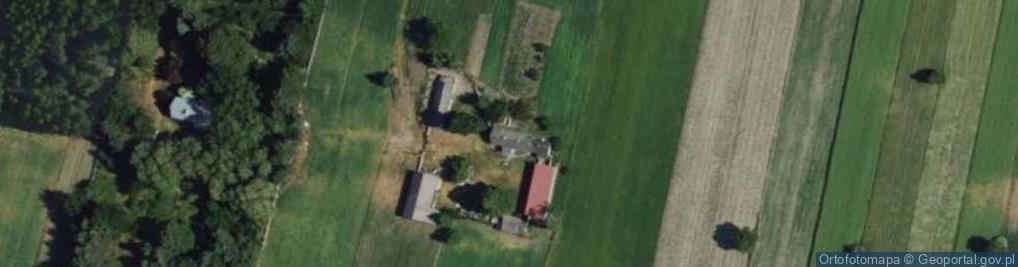 Zdjęcie satelitarne Budy Trzcińskie ul.