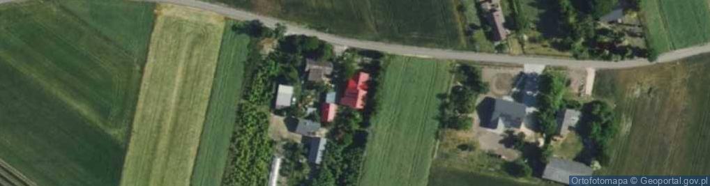 Zdjęcie satelitarne Budy Trzcińskie ul.
