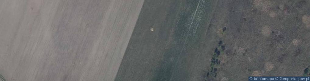 Zdjęcie satelitarne Budziechów ul.