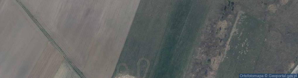 Zdjęcie satelitarne Budziechów ul.