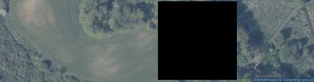 Zdjęcie satelitarne Buk ul.