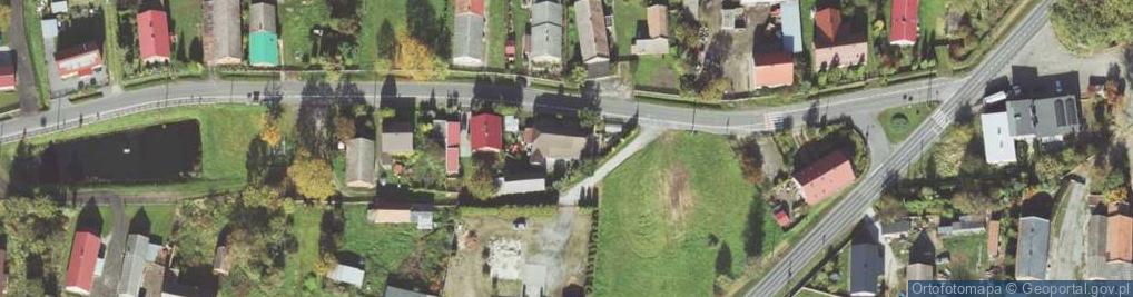 Zdjęcie satelitarne Bukowa Śląska ul.