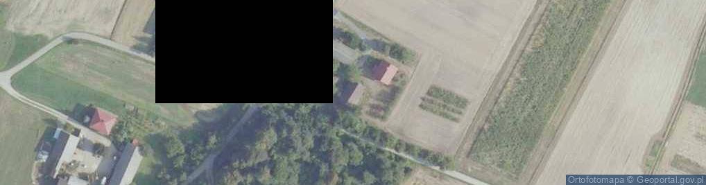 Zdjęcie satelitarne Bukowiany ul.