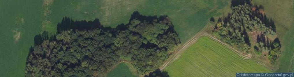 Zdjęcie satelitarne Bukowiec ul.