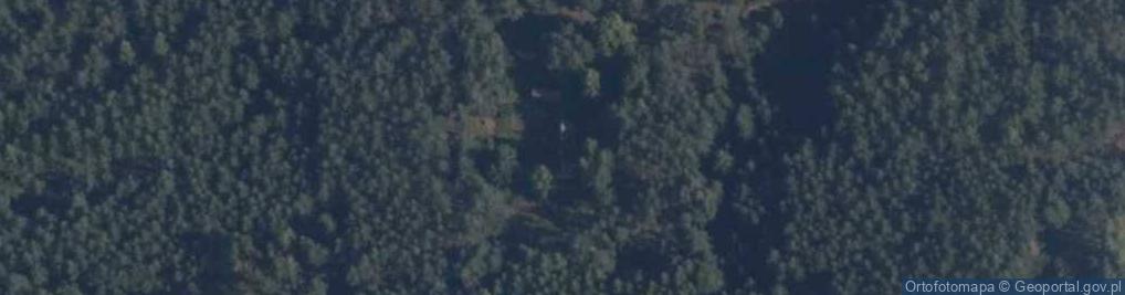 Zdjęcie satelitarne Bukowiny ul.