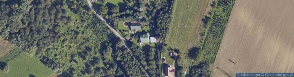 Zdjęcie satelitarne Buszkowice ul.