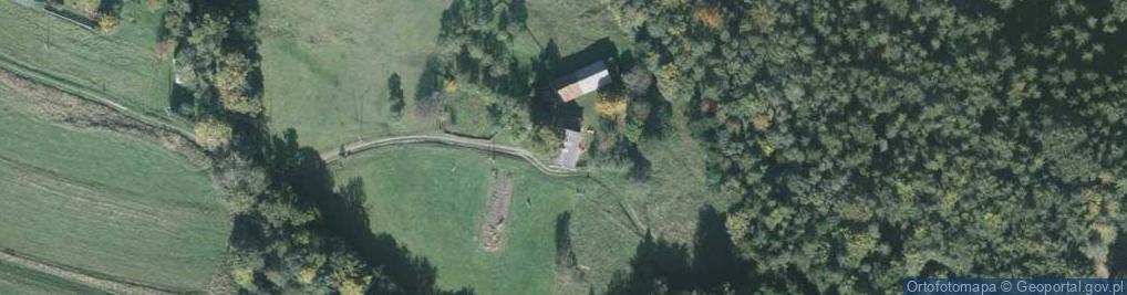 Zdjęcie satelitarne Budzin ul.