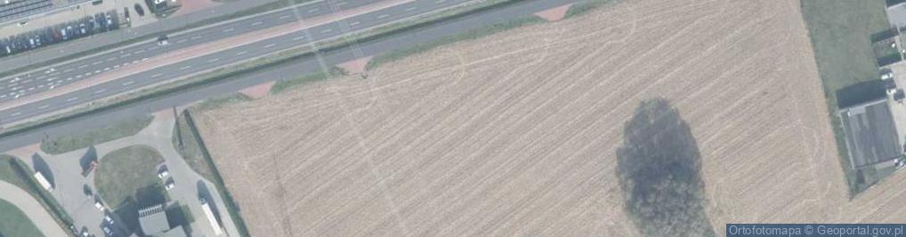 Zdjęcie satelitarne Bukowska ul.