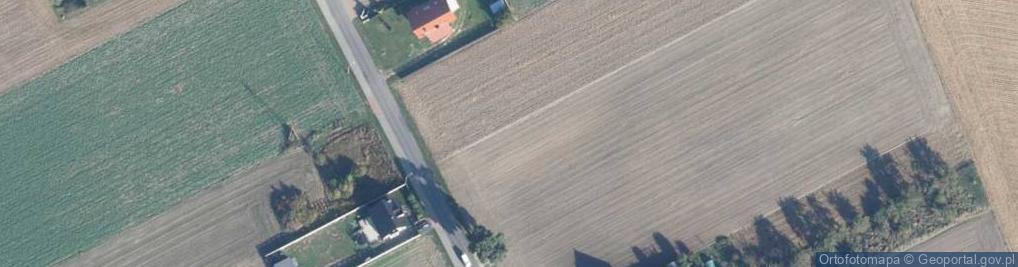 Zdjęcie satelitarne Bukowska ul.