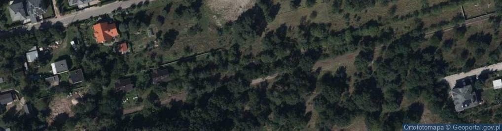 Zdjęcie satelitarne Buraczana ul.