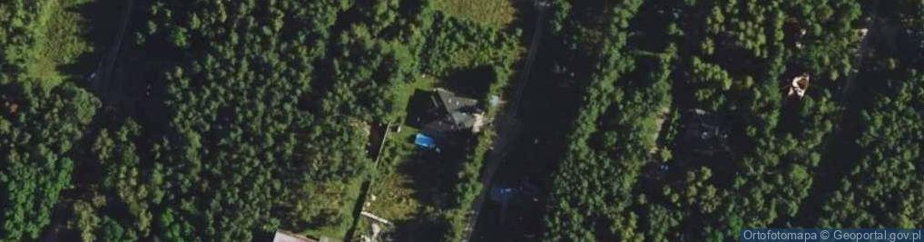 Zdjęcie satelitarne Bukszpanowa ul.