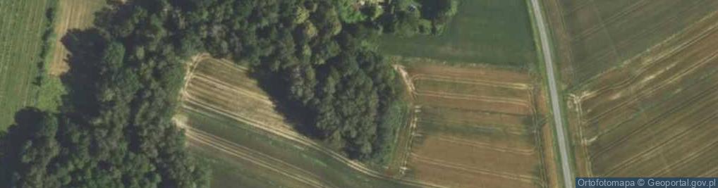 Zdjęcie satelitarne Bukowiecka ul.