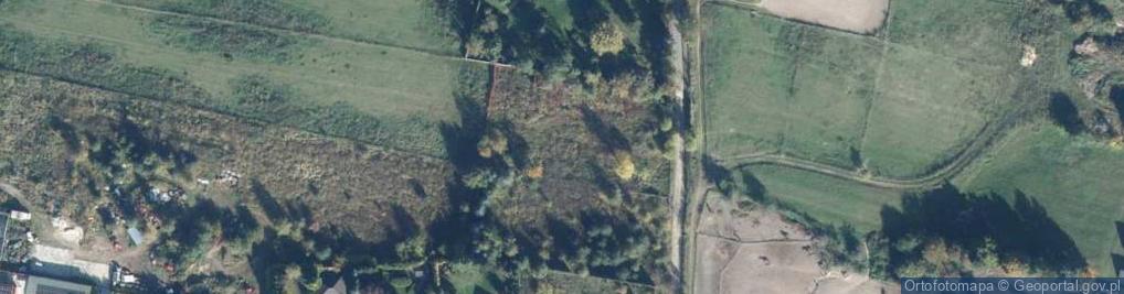 Zdjęcie satelitarne Bukowa ul.