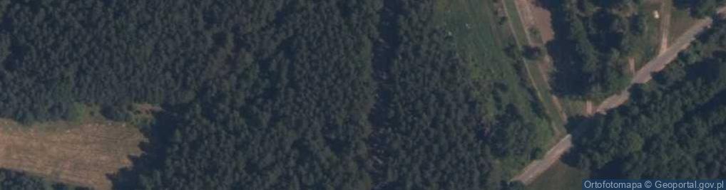 Zdjęcie satelitarne Bujecka ul.