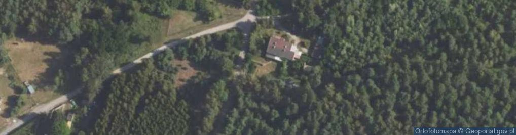Zdjęcie satelitarne Bujnowska ul.