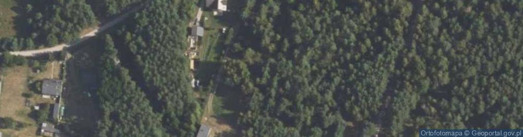 Zdjęcie satelitarne Bujnowska ul.
