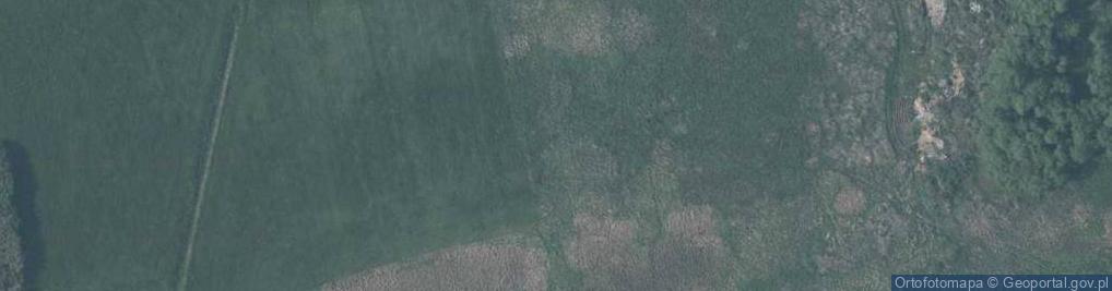 Zdjęcie satelitarne Bzowa ul.