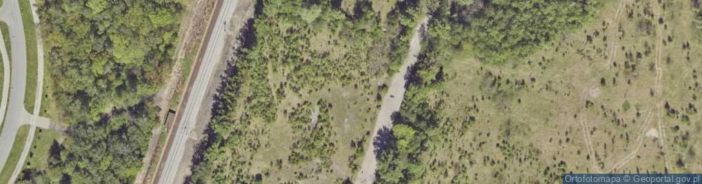 Zdjęcie satelitarne Celna ul.