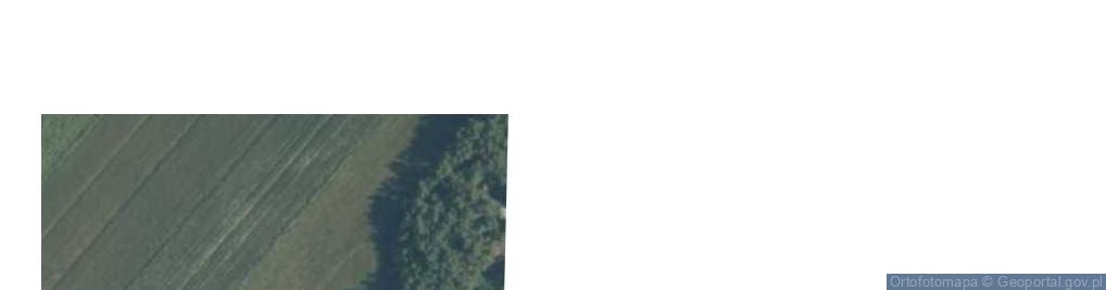 Zdjęcie satelitarne Celiny ul.