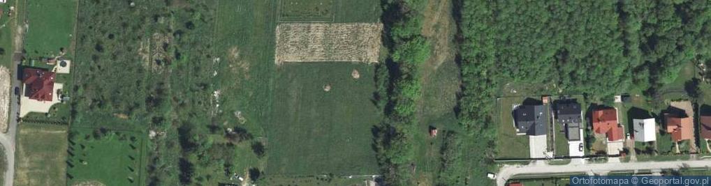 Zdjęcie satelitarne Celiny ul.