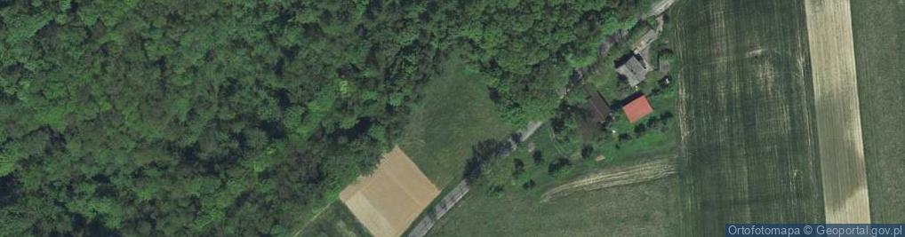 Zdjęcie satelitarne Centralna ul.