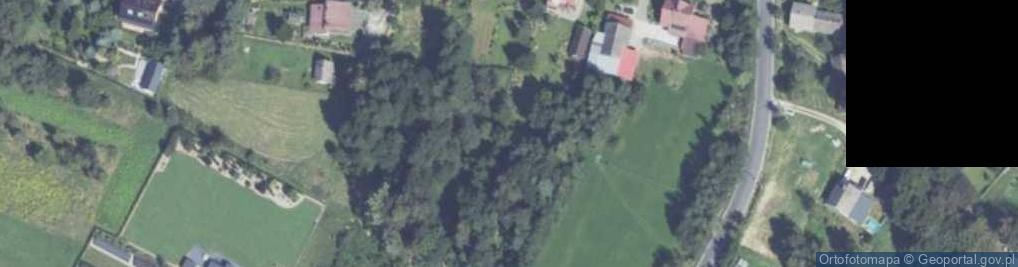 Zdjęcie satelitarne Centralna ul.