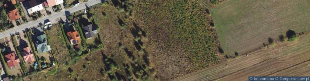 Zdjęcie satelitarne Cedrowa ul.